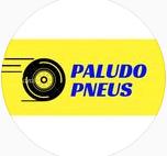 Michelin Paludo Pneus Ltda