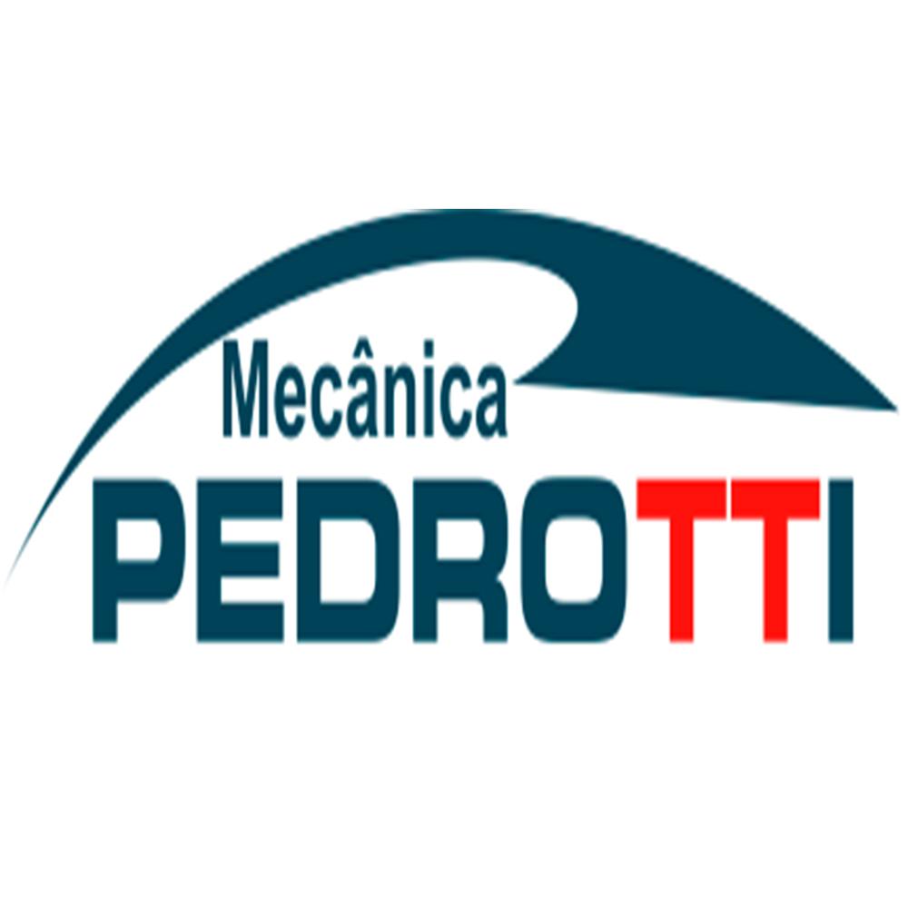 Mecanica Pedrotti